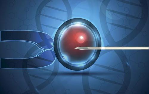 In vitro fertilization