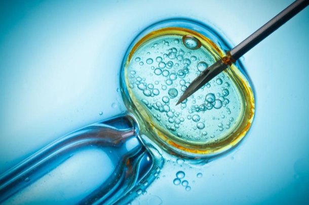 In vitro fertilization