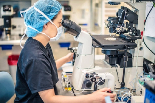 In Vitro Fertilization