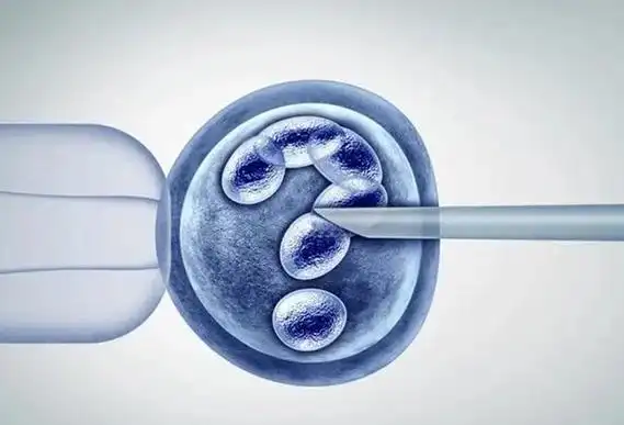 IVF