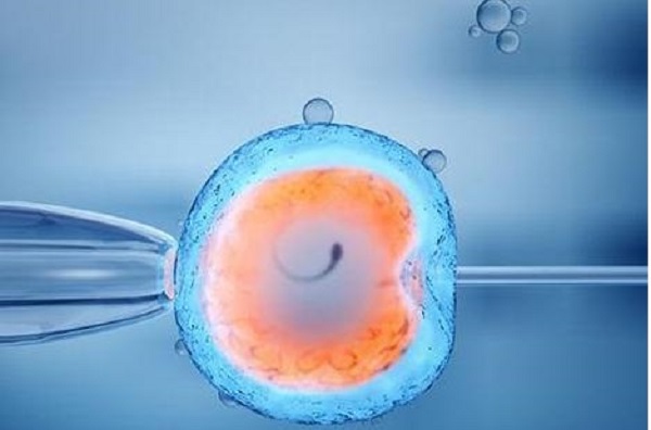 IVF