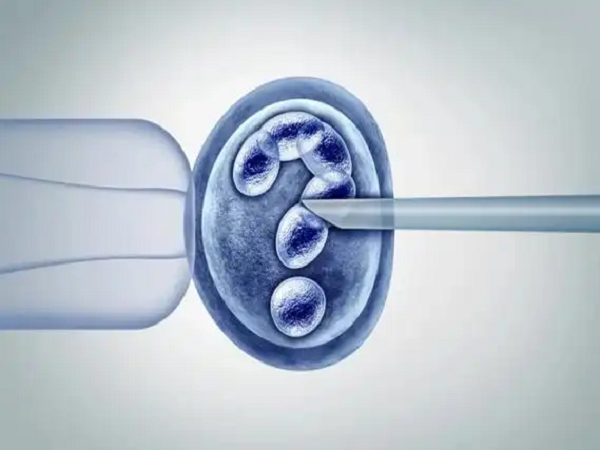 IVF
