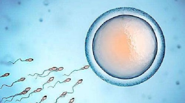 IVF