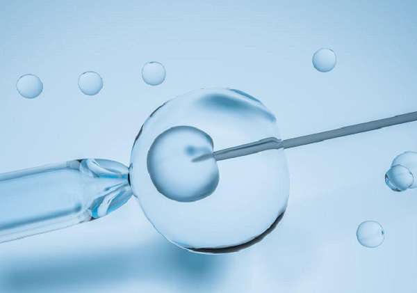 Surrogacy