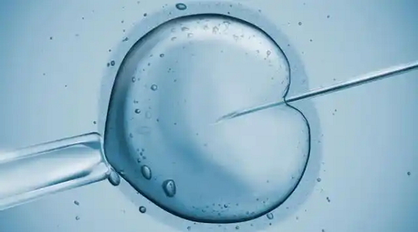IVF